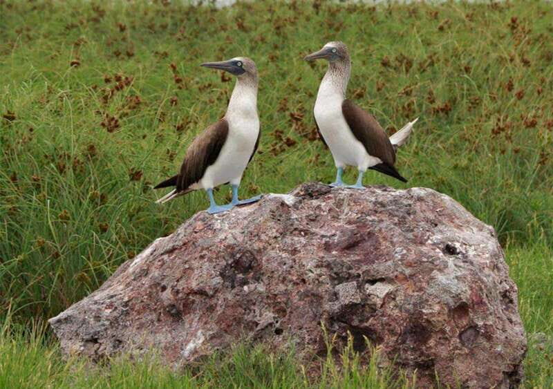 Playa del Amor: Incredible Hidden Beach Tour - FAQ