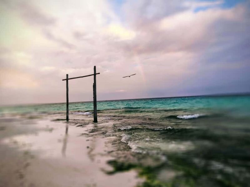 Playa del Carmen: A Sensory Tour Through Mexico's Culinary Memory - FAQ