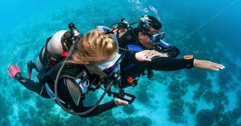 Playa del Carmen: Advanced Open Water Diver Course - The Local Underwater Environment