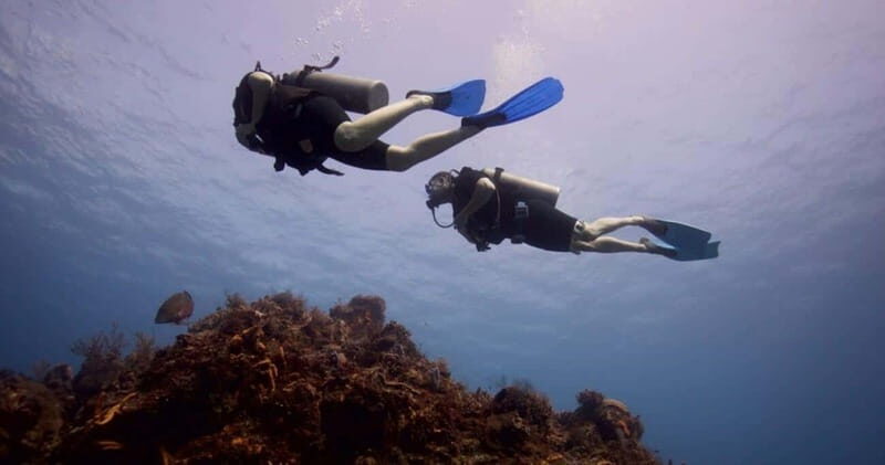 Playa del Carmen: Advanced Open Water Diver Course - Who Should Consider This Course?