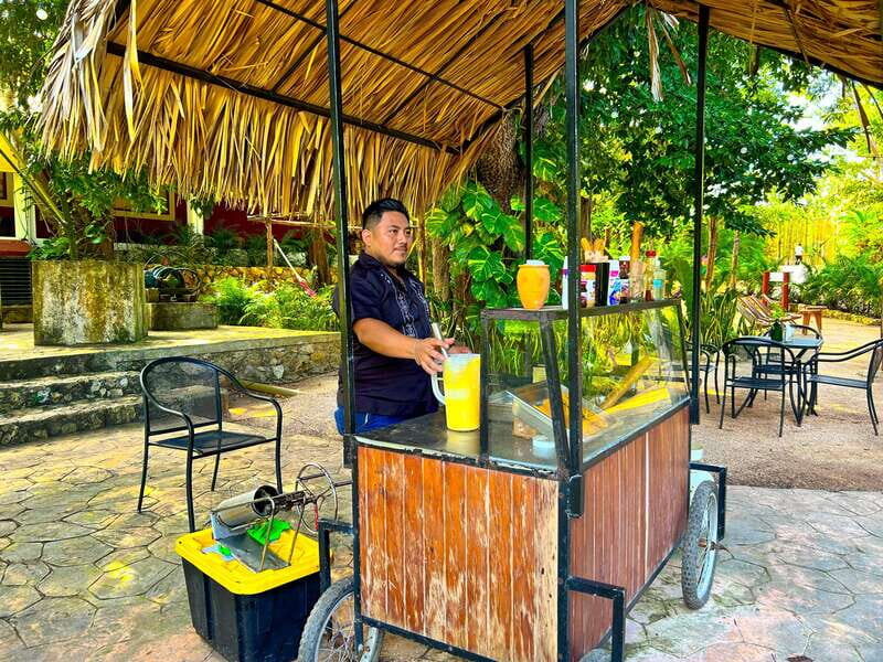 Playa del Carmen: Chichen Itza, Valladolid, Cenote & Buffet - Authenticity and Guide Quality