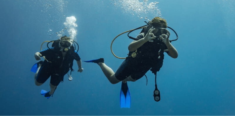 Playa del Carmen: Discover Scuba Diving - Key Points