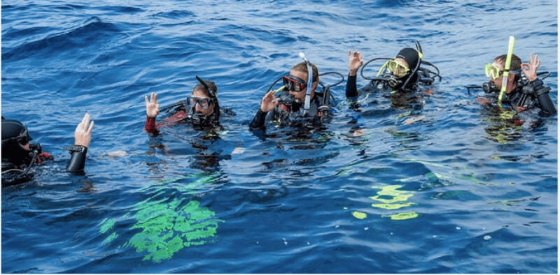 Playa del Carmen: Divemaster Course - Introduction