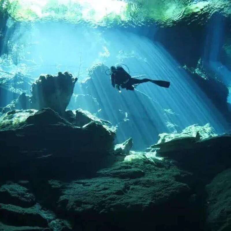 Playa del Carmen: Diving at Cenote Dos Ojos - Key Points