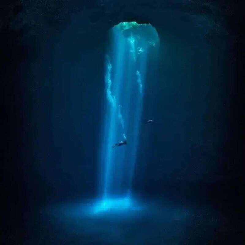 Playa del Carmen: Diving in Cenotes The Pit and Dos Ojos - The Itinerary and What to Expect