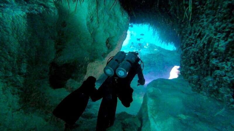 Playa del Carmen: Dual Realm Diving (Cenote + Reef Diving) - Introduction