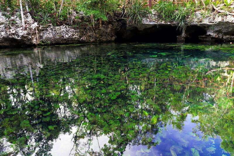 Playa del Carmen: Dual Realm Diving (Cenote + Reef Diving) - Who Is This Tour Best For?