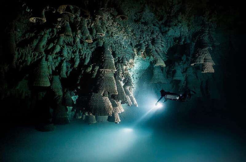 Playa del Carmen: Explore the Surreal World of Cenote Diving - Practical Tips: What to Know Before Booking