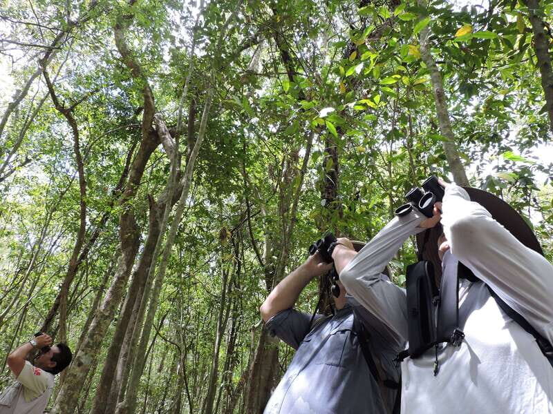 Playa del Carmen: Guided Birdwatching Hike - FAQs