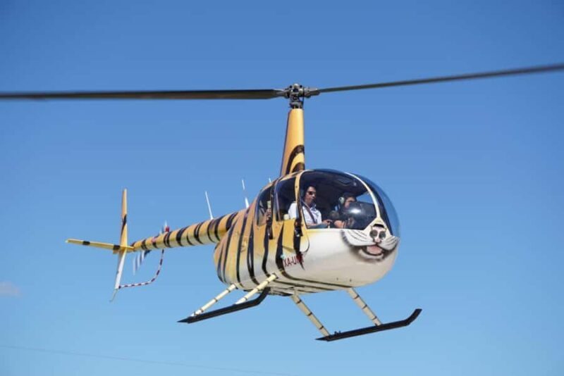 Playa del Carmen: Helicopter Tour - The Experience: What to Expect on the Flight