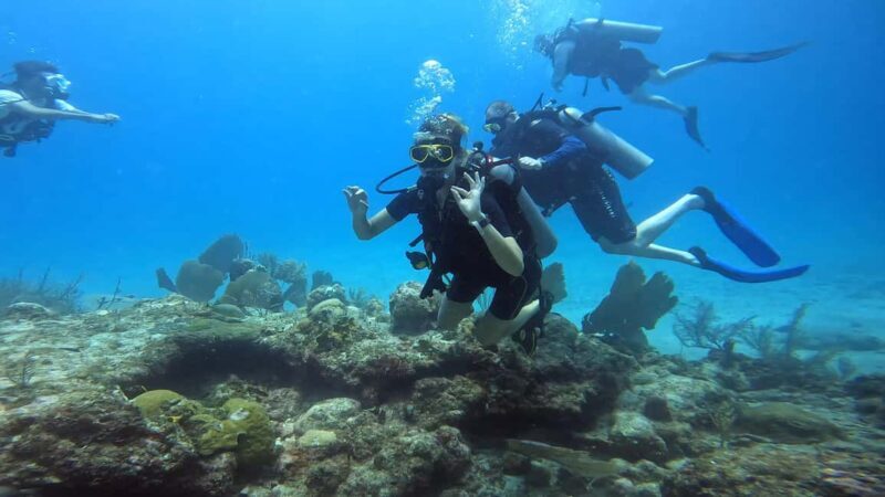 Playa del Carmen: Introductory Scuba Diving at Coral Reefs - Final Thoughts