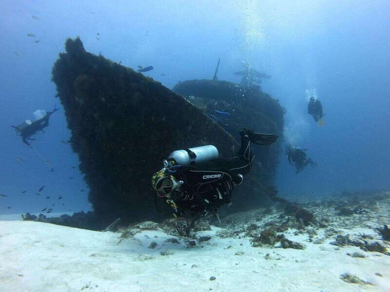 Playa del Carmen: MamaViña Wreck & Reef for Certified Divers - The Marine Environment and Why It Matters