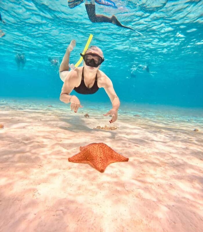 Playa del Carmen: On Board to Cozumel Tour with Lunch - Who Will Love This Tour?