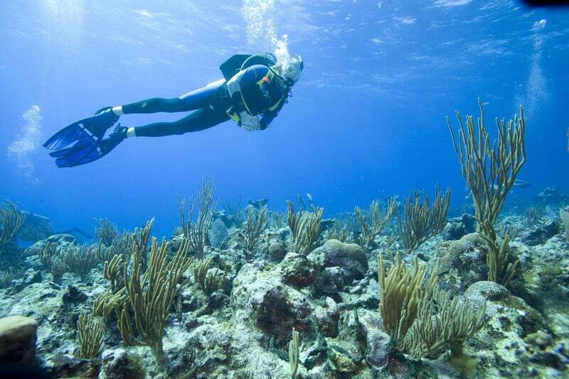 Playa del Carmen: PADI Advance Open Water in Riviera Maya - The Experience — What Really Stands Out