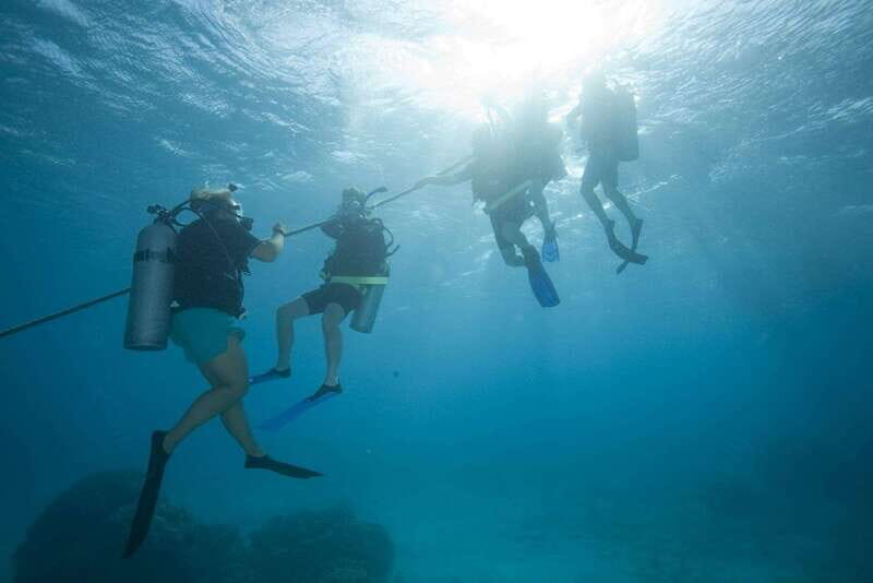 Playa del Carmen: PADI Advance Open Water in Riviera Maya - Who Will Love This?