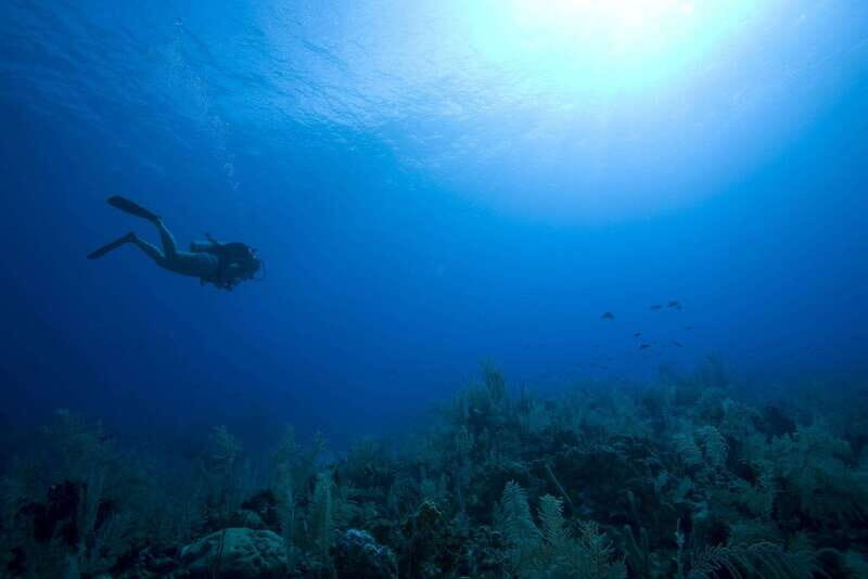 Playa del Carmen: PADI Advance Open Water in Riviera Maya - FAQ