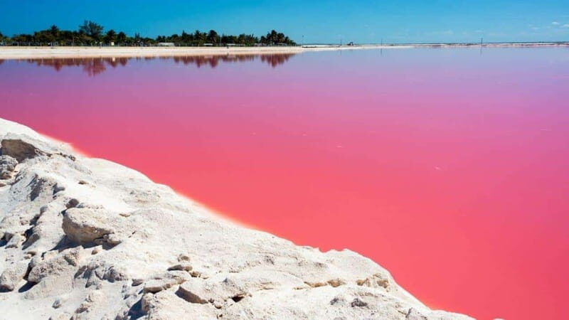 Playa del Carmen: Rio Lagartos and Las Coloradas Tour - Who Should Consider This Tour?