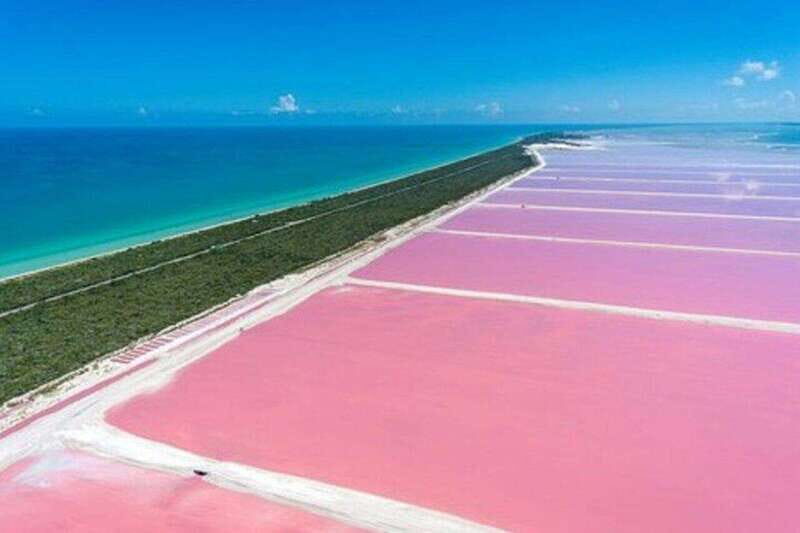 Playa del Carmen: Rio Lagartos and Las Coloradas Tour - FAQ