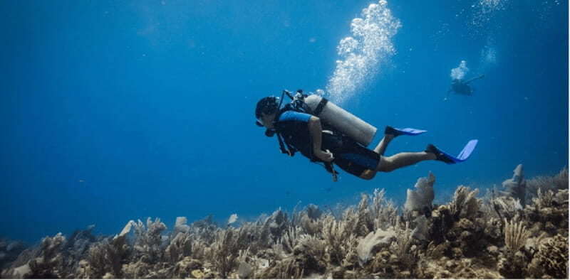 Playa del Carmen: Scuba Diver Certification Course - The Sum Up