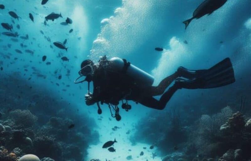 Playa del Carmen: Scuba Diving for certified divers - The Underwater Experience