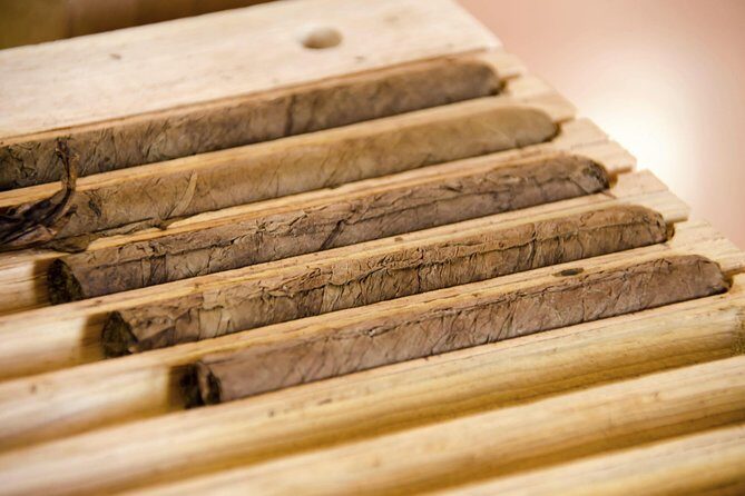 Playa del Carmen Shopping Tour Fifth Avenue and Mamitas Beach Club - Who Should Consider This Tour?