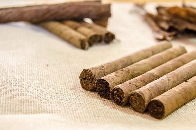 Playa del Carmen Shopping Tour Fifth Avenue and Mamitas Beach Club - FAQ: Practical Questions About the Tour