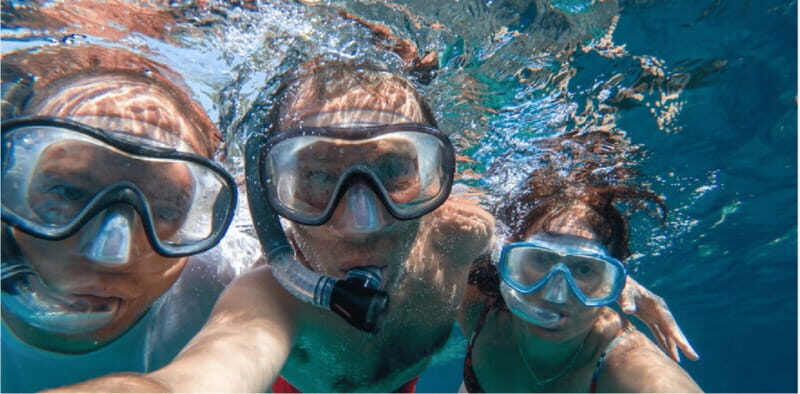 Playa del Carmen: Snorkel Tour at Local Reef - Introduction: What to Expect from the Snorkel Tour