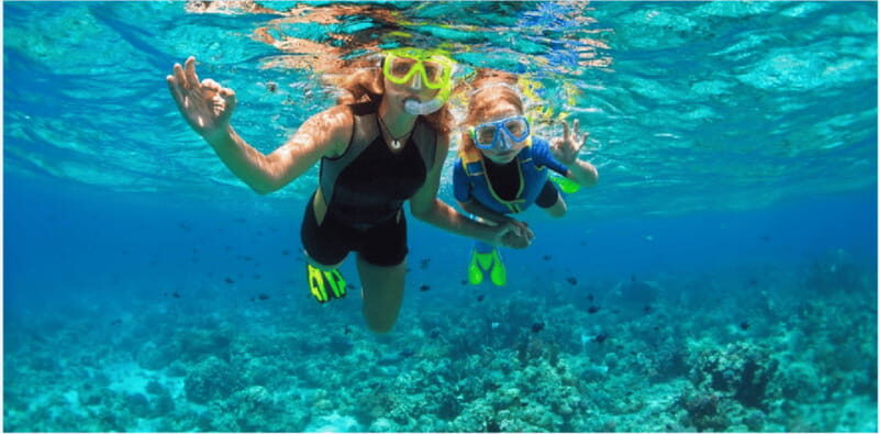Playa del Carmen: Snorkel Tour at Local Reef - What the Reviews Reveal