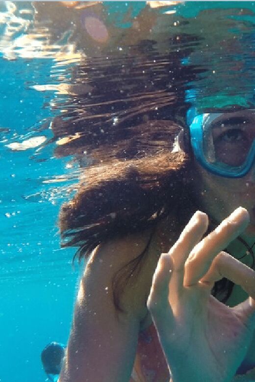 Playa del Carmen: Snorkel Tour at Local Reef - The Sum Up: Is This Tour Worth It?