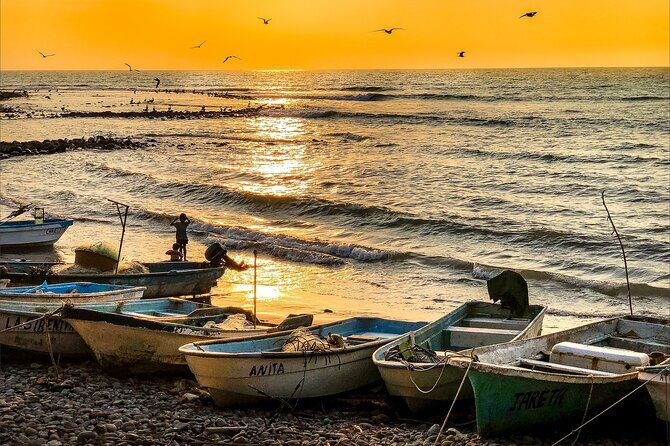 Playa del Carmen to Cancun - Private Transfer with Optional Sightseeing - Why Choose This Service?