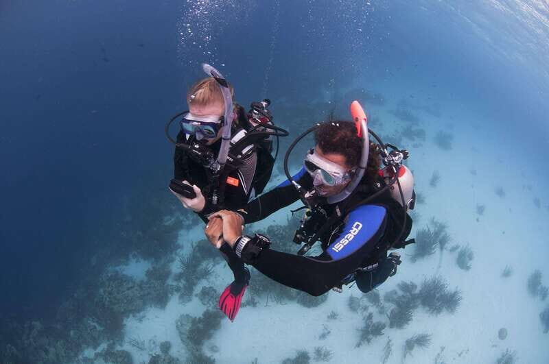Playa del Carmen: Ultimate PADI Open Water Diver Experience - The Meeting Point and Logistics