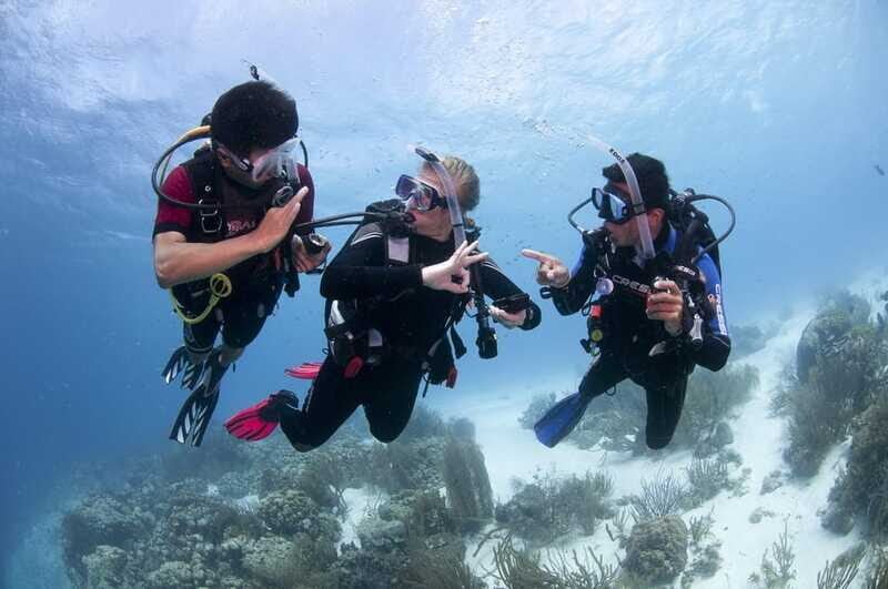 Playa del Carmen: Ultimate PADI Open Water Diver Experience - The Value of This Experience