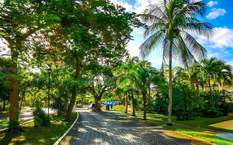 Playa Del Carmens Historical Treasures: A Walking Tour - Practical Details and What to Expect