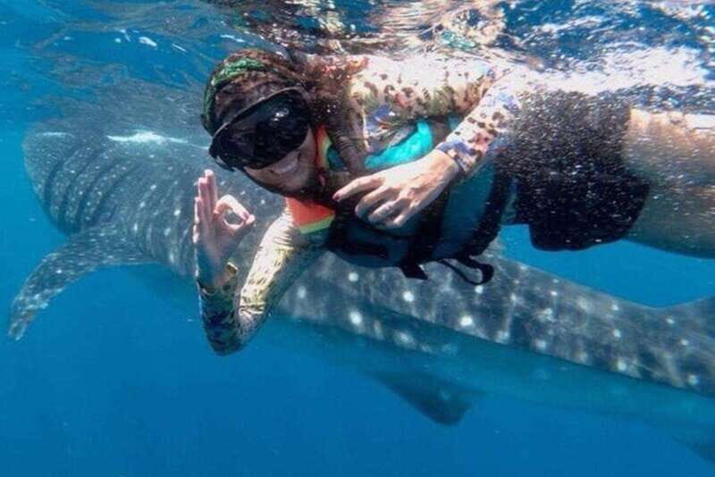 Playa del Carmen:Whale shark Experience in the Caribbean Sea - An In-Depth Look at the Whale Shark Tour
