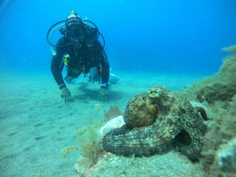 Playa Del Ingles: Discover Scuba Diving - Free Transfers - The Real Value for Travelers