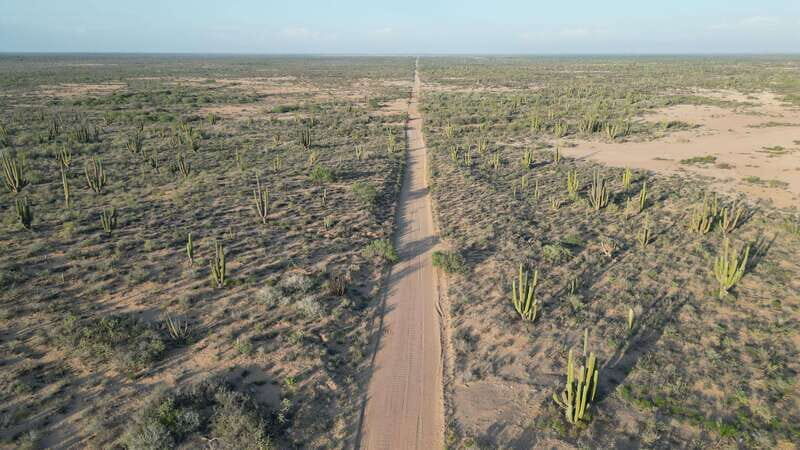 Playa el Cardonal: tour and sandboarding activity in the dunes of Sahuimaro - An Authentic Baja California Adventure