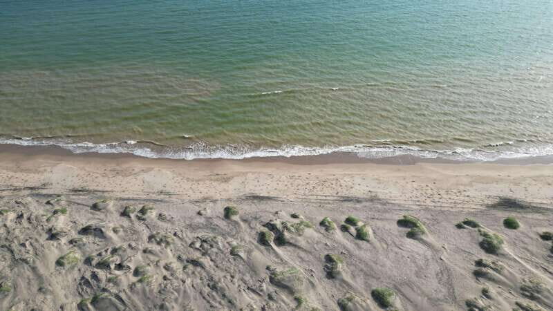 Playa el Cardonal: tour and sandboarding activity in the dunes of Sahuimaro - The Beach and Sunset Experience