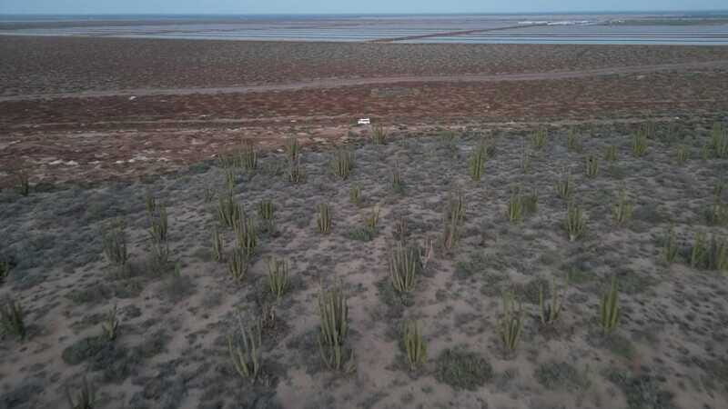 Playa el Cardonal: tour and sandboarding activity in the dunes of Sahuimaro - Final Thoughts