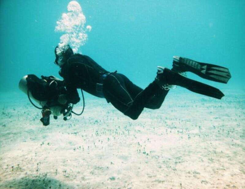 Playa: Rescue Diver - An In-Depth Look at the Playa Rescue Diver Course