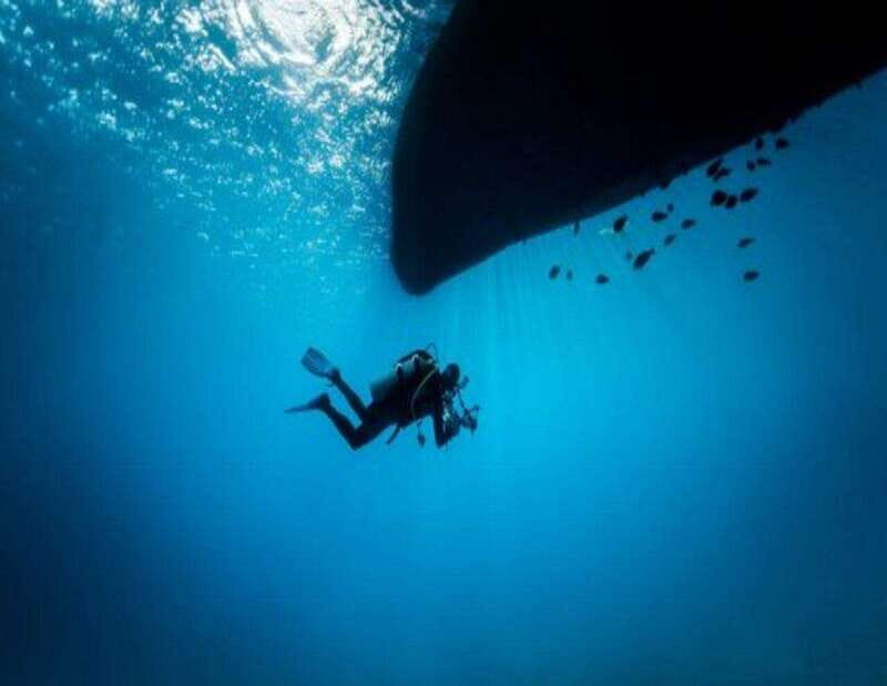 Playa: Wreck Dive - An In-Depth Look at the Playa Wreck Dive Experience