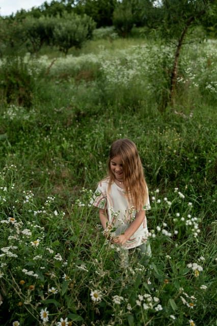 Playful Activities with Animals - The Sum Up