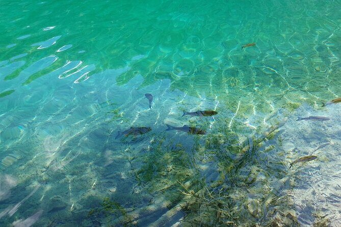 Plitvice Lakes Day Tour from Zadar, Simple and Safe - An Honest Look at the Plitvice Lakes Tour from Zadar