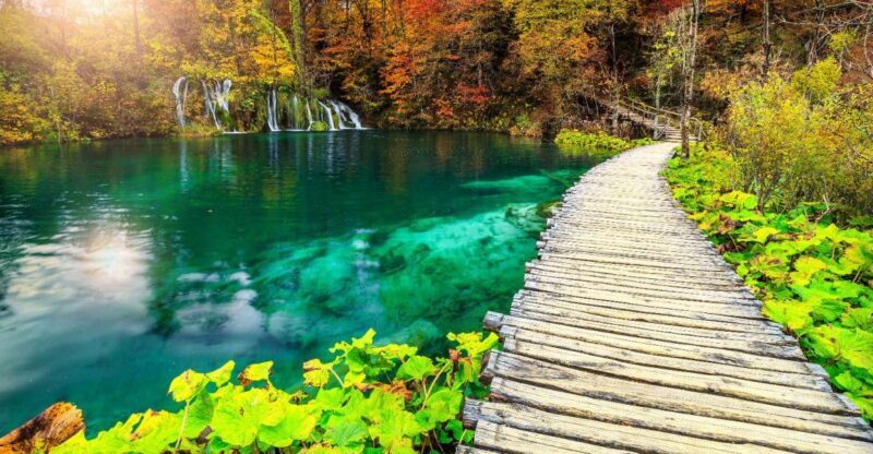 Plitvice Lakes National Park: Day Trip from Omi - Key Points