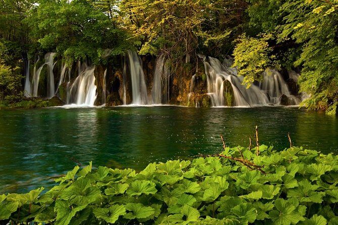 Plitvice Lakes Private Guided Walking Tour - A Day in the Park: What to Expect