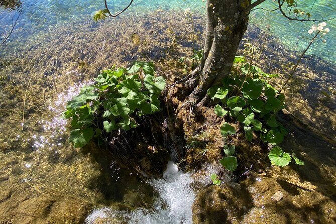 Plitvice private tour driver + guide up to 8 ppl from Zadar - The Value and Who This Tour Suits Best