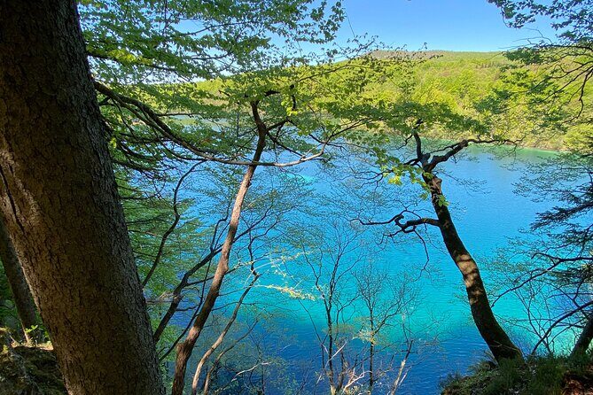 Plitvice private tour driver + guide up to 8 ppl from Zadar - Final Thoughts: Is This Tour Right for You?