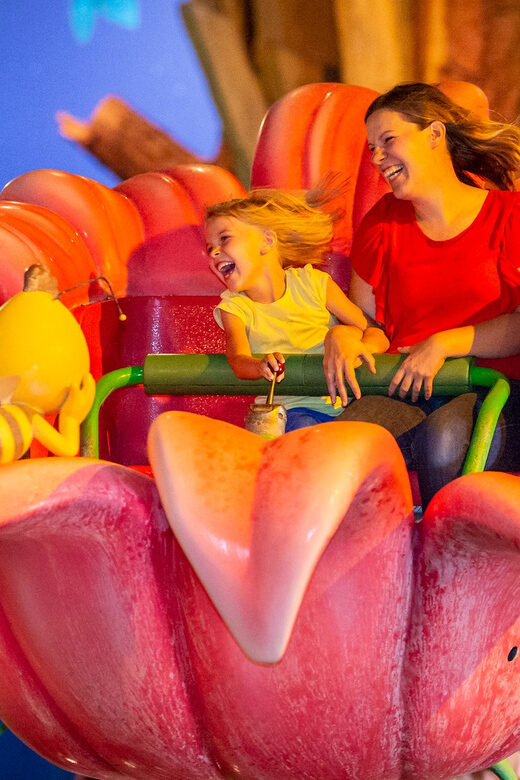 Plopsaland Belgium - Theme Park - Entry Ticket - The Sum Up: Who Is Plopsaland Belgium Best For?