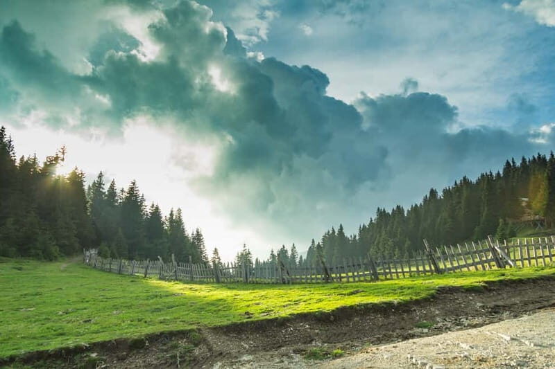 Plovdiv: Central Balkan National Park Guided Hike - What Makes This Tour Stand Out?