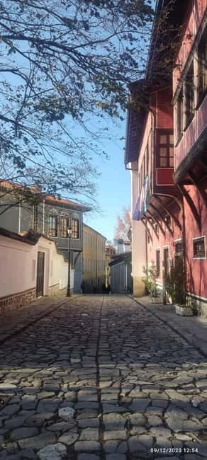 Plovdiv: Classic one-day tour from Sofia - The Practical Side: Transportation, Guide, and Ticketing