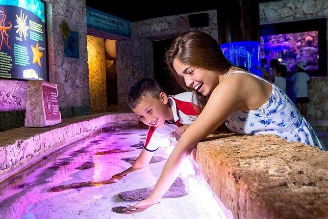 Plus Xcaret ticket in Cancun - A Deep Dive into the Plus Xcaret Experience